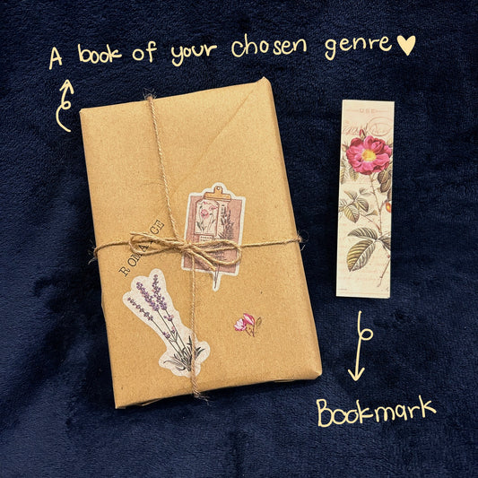 the bookish haven blind date with a book 2