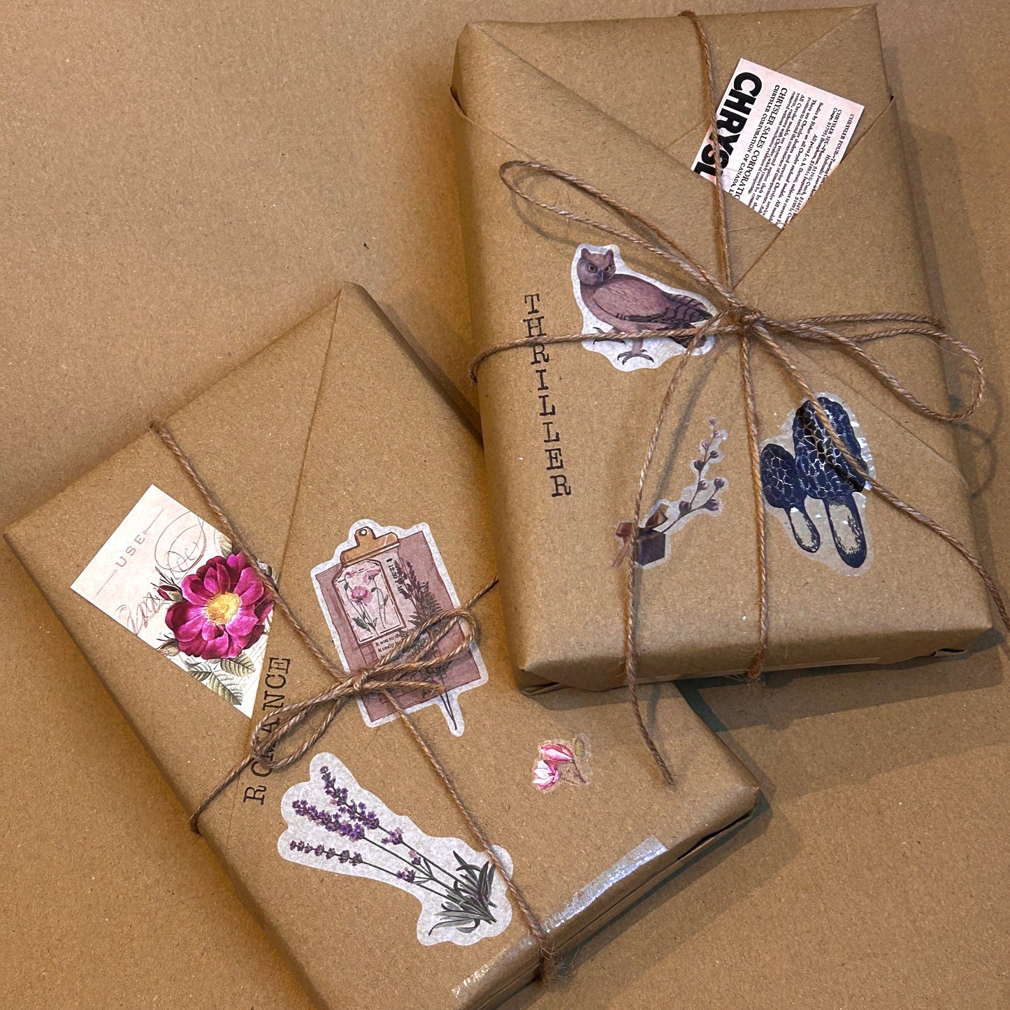 the bookish haven blind date with a book