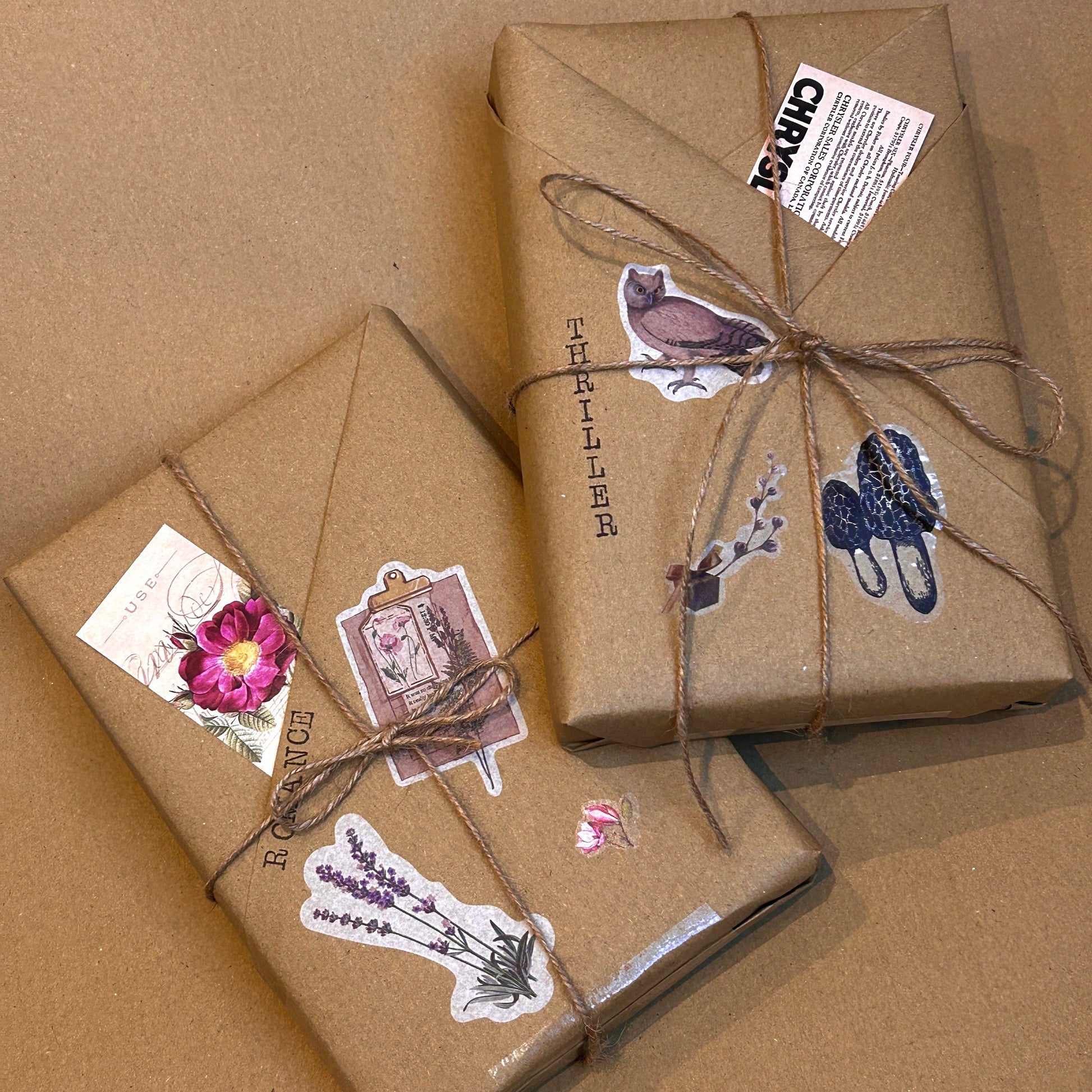 the bookish haven blind date with a book