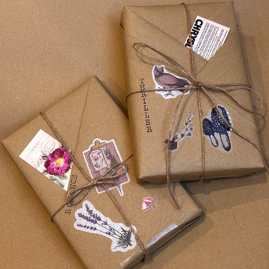 the bookish haven blind date with a book